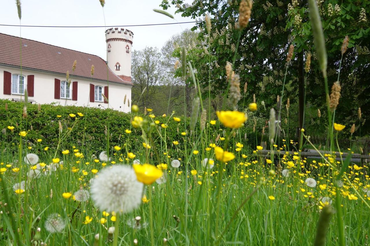 Pension Kastanienhof Zeulenroda-Triebes Exterior foto